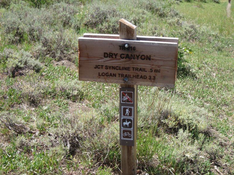 Confusing trail sign